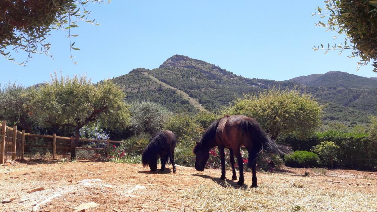 Finca Roca Vista, Adults Only Alhaurín el Grande Eksteriør bilde